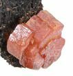 Red Vanadinite Crystals on Matrix - Morocco #38464-1